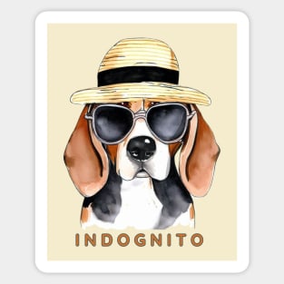 Beagle INDOGNITO Sticker